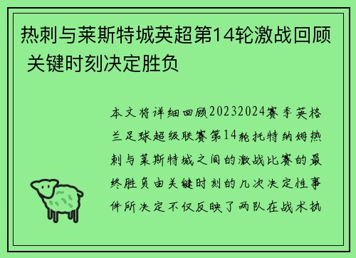 热刺与莱斯特城英超第14轮激战回顾 关键时刻决定胜负