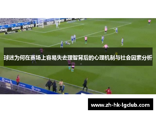 球迷为何在赛场上容易失去理智背后的心理机制与社会因素分析