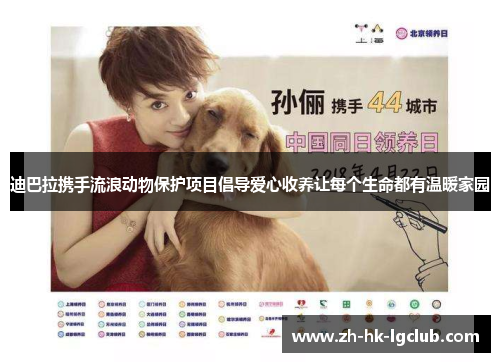 迪巴拉携手流浪动物保护项目倡导爱心收养让每个生命都有温暖家园