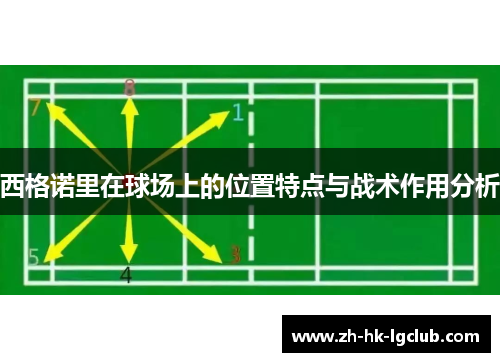 西格诺里在球场上的位置特点与战术作用分析
