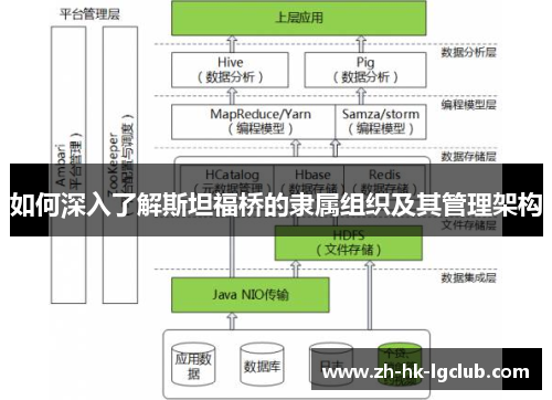 如何深入了解斯坦福桥的隶属组织及其管理架构