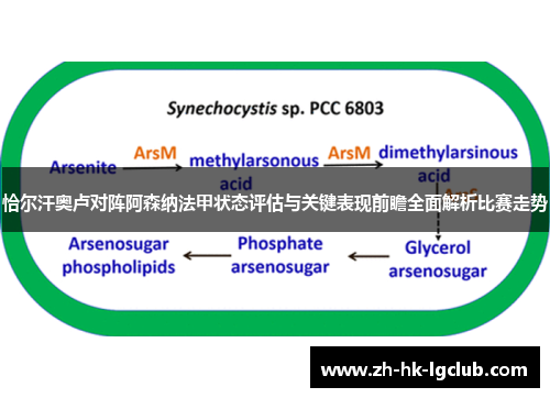 恰尔汗奥卢对阵阿森纳法甲状态评估与关键表现前瞻全面解析比赛走势